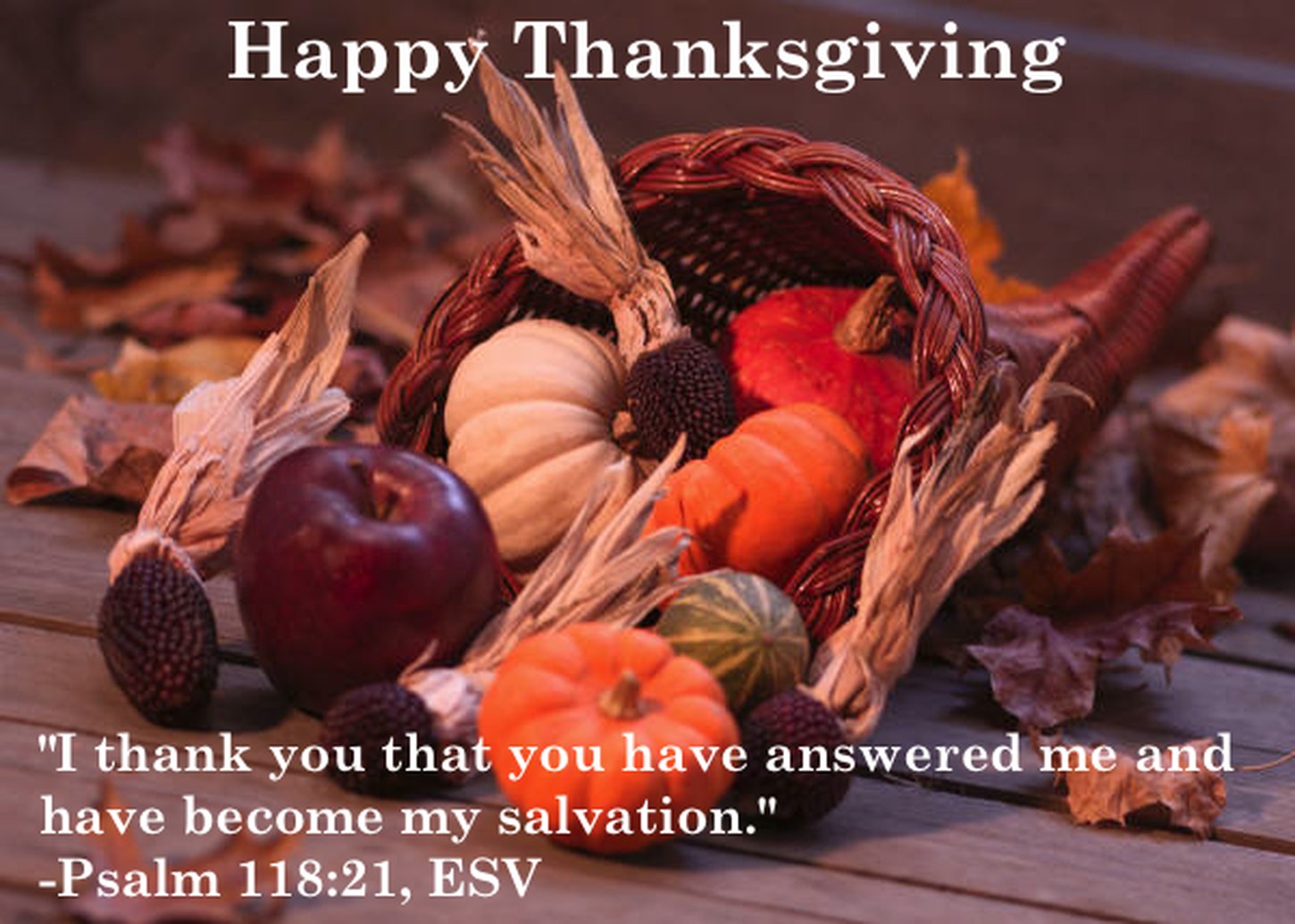 Wishing all of our readers a blessed Thanksgiving!