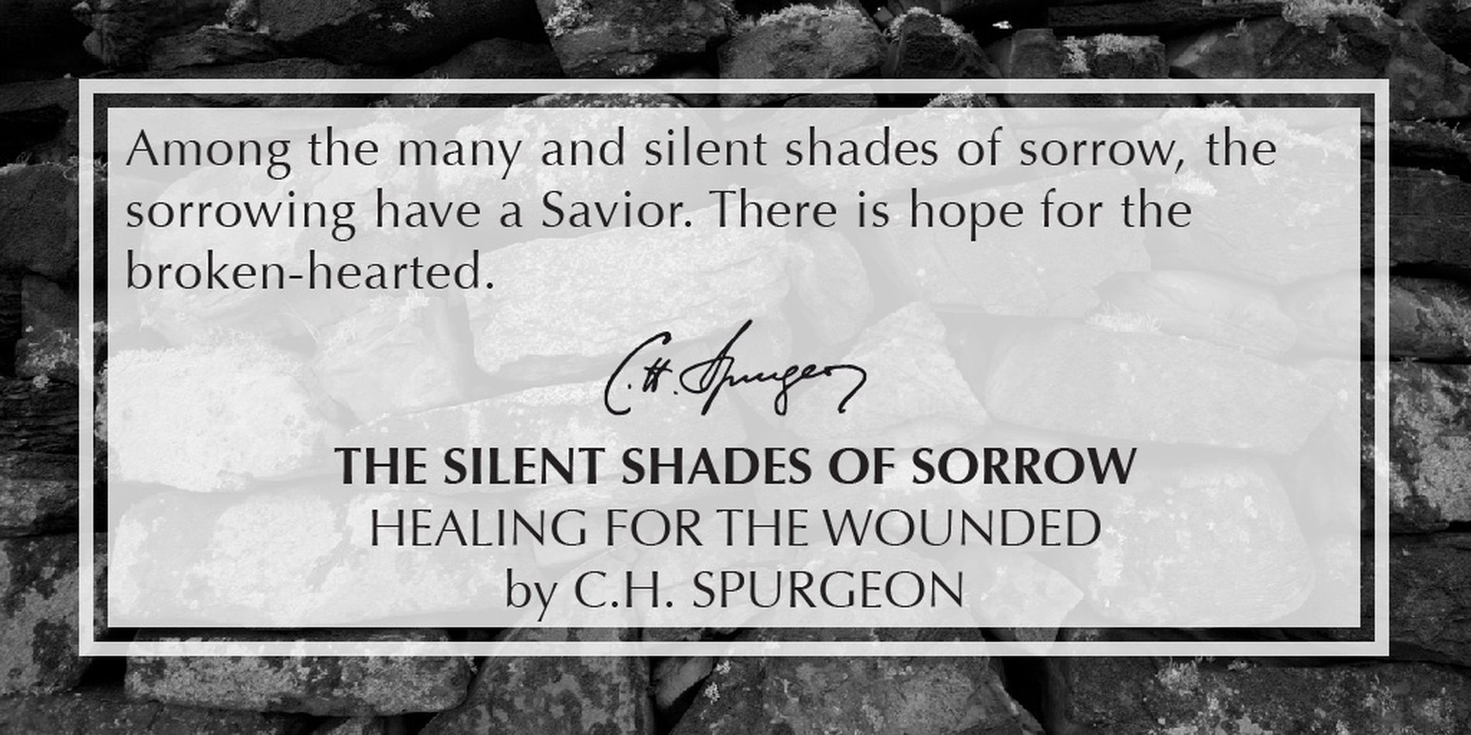 The Silent Shades of Sorrow: Healing for the Wounded by C. H. Spurgeon