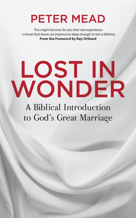 Lost in Wonder, A Biblical Introduction to God's Great Marriage