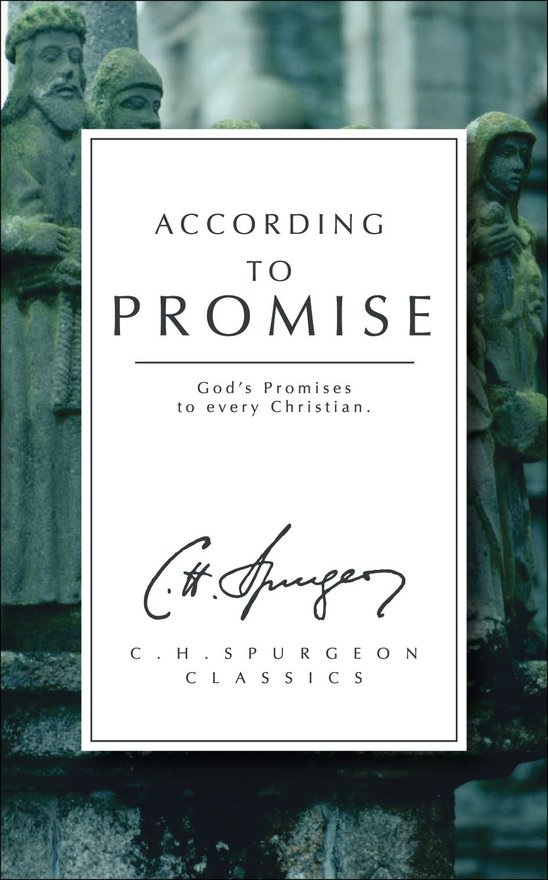According to Promise, God’s Promises to Every Christian