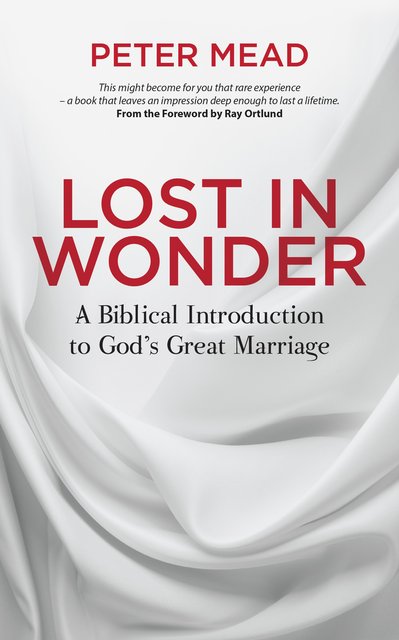 Lost in WonderA Biblical Introduction to God's Great Marriage
