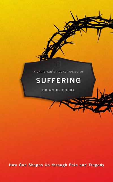 A Christian's Pocket Guide to SufferingHow God Shapes Us through Pain and Tragedy